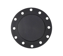 NRG Horn Delete Plate Flush